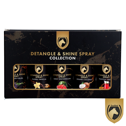 Detangle & shine spray geschenkset
