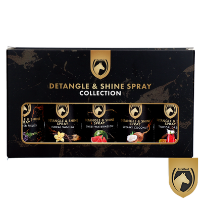 Detangle & shine spray geschenkset