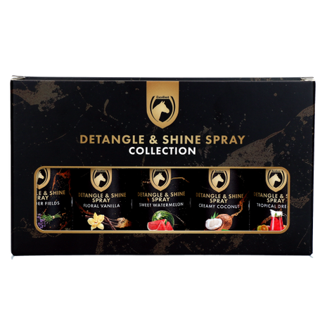 Detangle & shine spray geschenkset