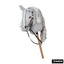 Hobby horse