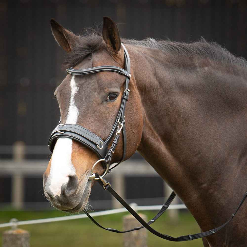 Harry's Horse Kaptoom hoofdstel leder Comfort