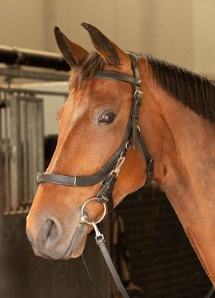 Harry's Horse Kaptoom hoofdstel leder Anatomic