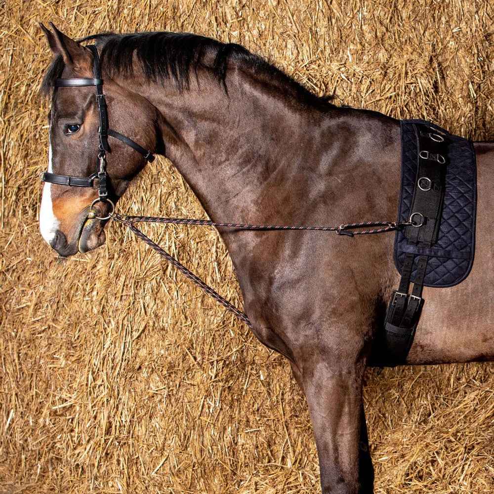 Harry's Horse Longekoord V-line (paar)