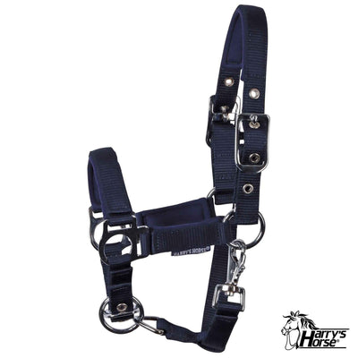 Veulenhalster Padded