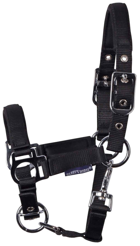 Veulenhalster Padded