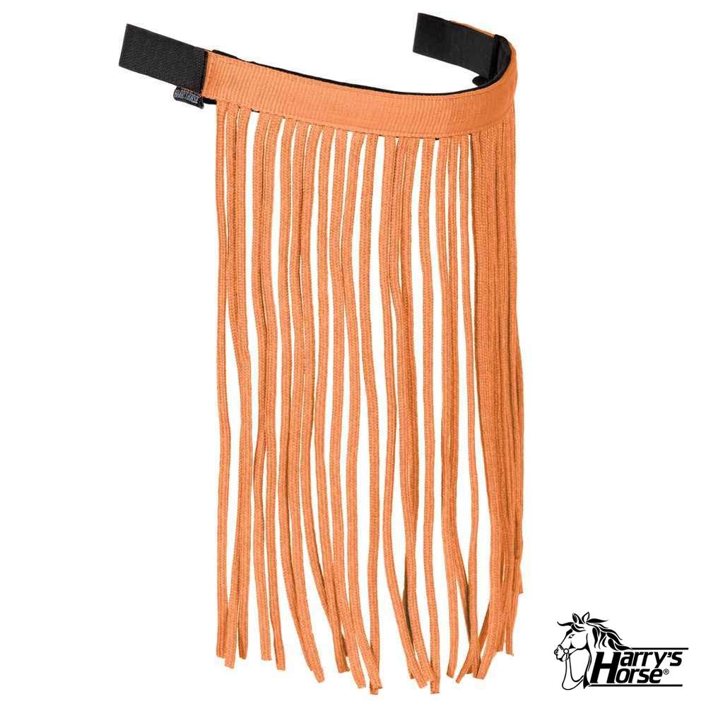 Vliegenfrontriem kleur