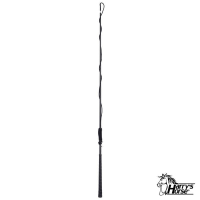 Harry's Horse Longeerzweep carbon telescoop