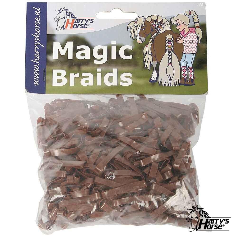 Magic Braids Harry's Horse