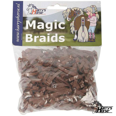 Magic Braids Harry's Horse