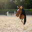 Hobby horse