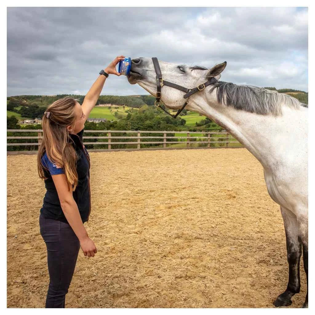 Horslyx Mini