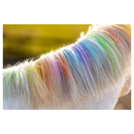 Unicorn regenboog kleurkrijt