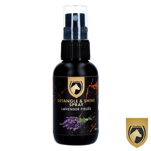 Detangle & Shine Spray