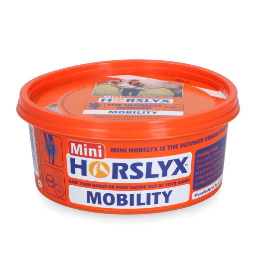 Horslyx Mini