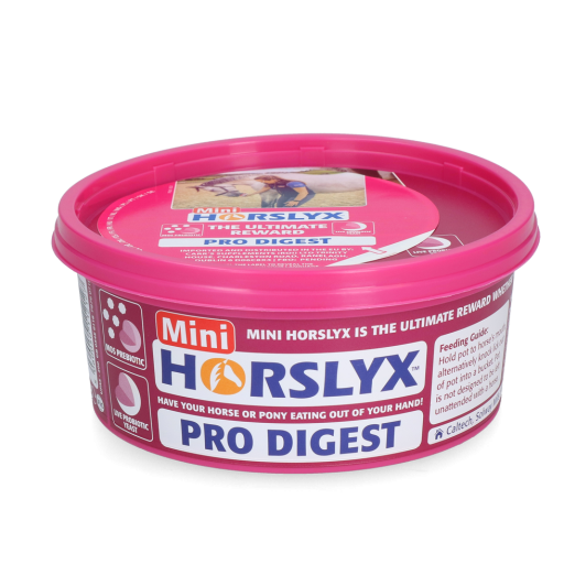 Horslyx Mini