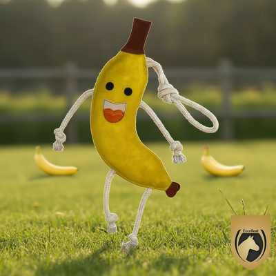 Foodie Friend Banana