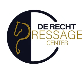 <h2>Leer de basis van dressuur begrijpen.</h2>